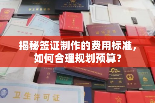 鲁山揭秘签证制作的费用标准，如何合理规划预算？