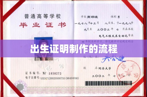 鲁山出生证明制作的流程