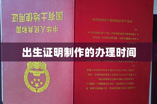 鲁山出生证明制作的办理时间