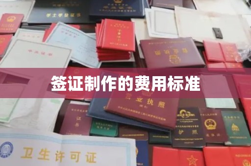 鲁山签证制作的费用标准