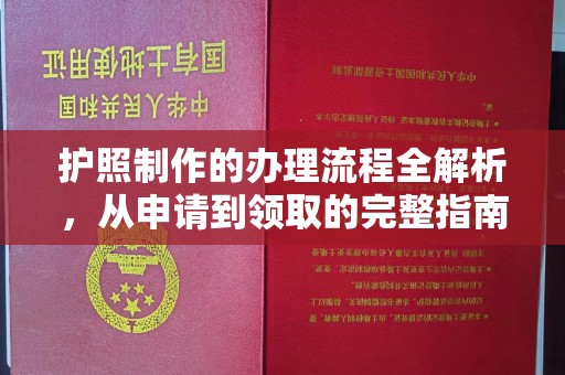 鲁山护照制作的办理流程全解析，从申请到领取的完整指南