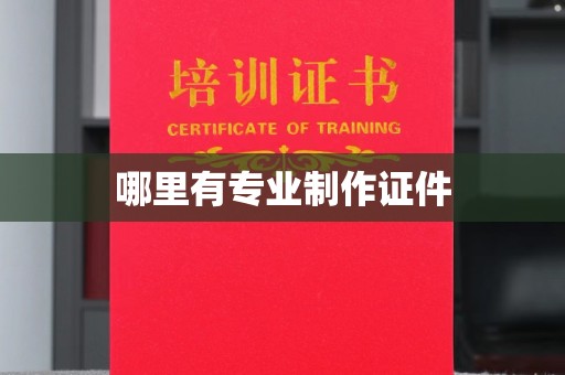 鲁山哪里有专业制作证件