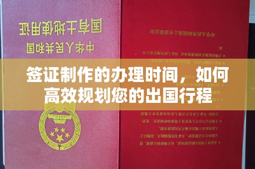 鲁山签证制作的办理时间，如何高效规划您的出国行程