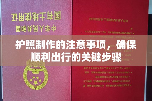 鲁山护照制作的注意事项，确保顺利出行的关键步骤