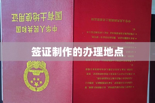 鲁山签证制作的办理地点