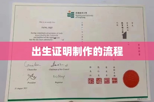 鲁山出生证明制作的流程