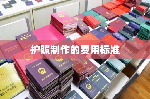 鲁山护照制作的费用标准