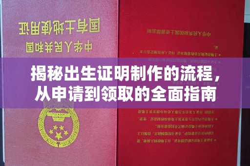 鲁山揭秘出生证明制作的流程，从申请到领取的全面指南