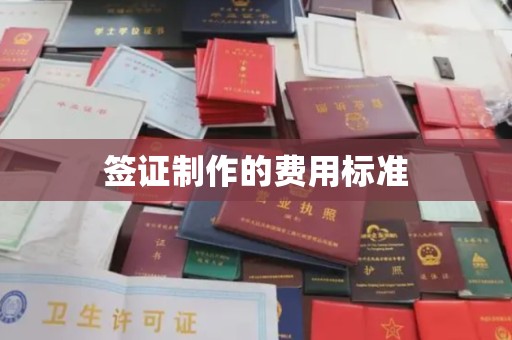 鲁山签证制作的费用标准